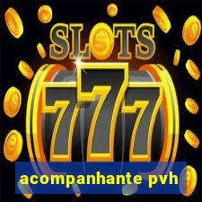 acompanhante pvh