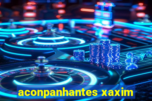 aconpanhantes xaxim