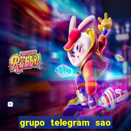 grupo telegram sao jose do rio preto