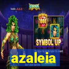 azaleia-br.com