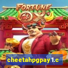 cheetahpgpay1.com